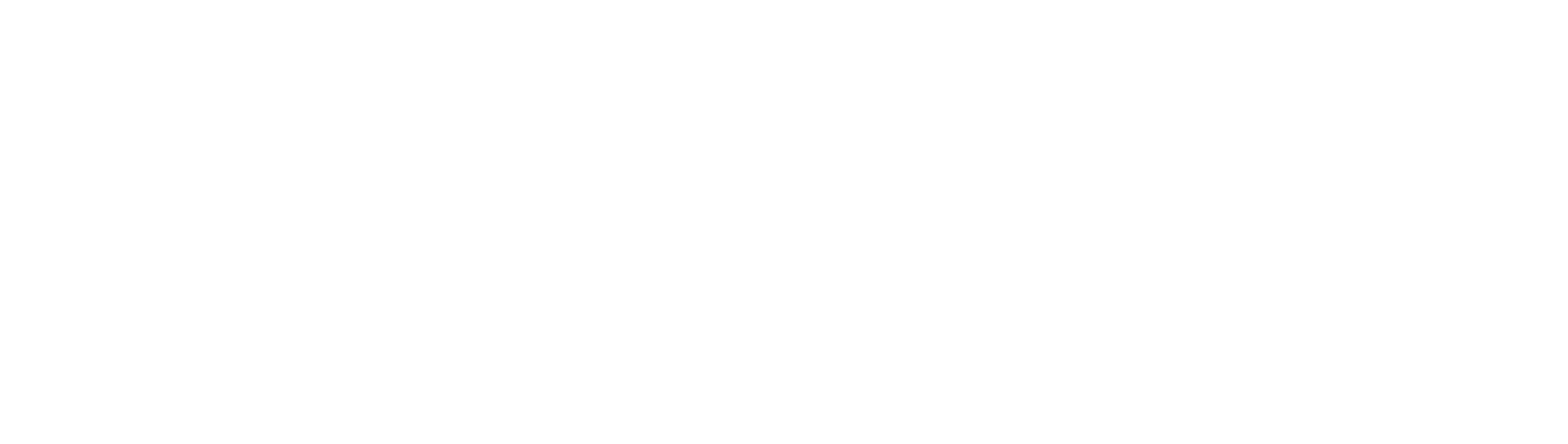 Shinyvogue